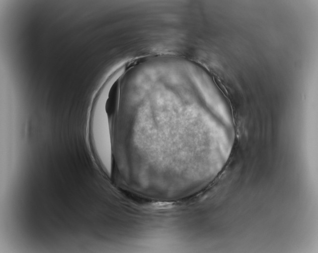 X0000093510052200711091728