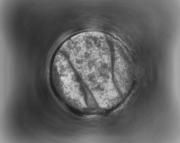 X0000093510055200711091729