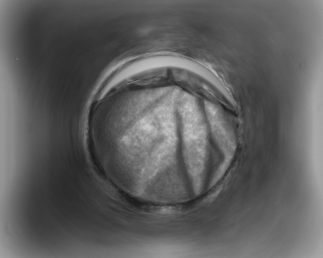 X0000093510056200711091729