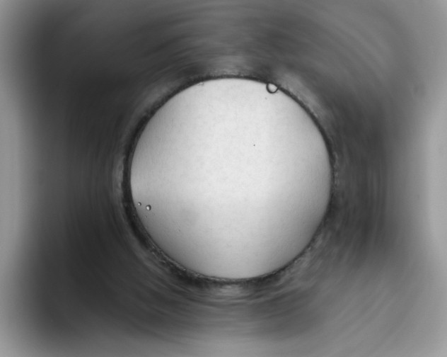 X0000093510058200711091729