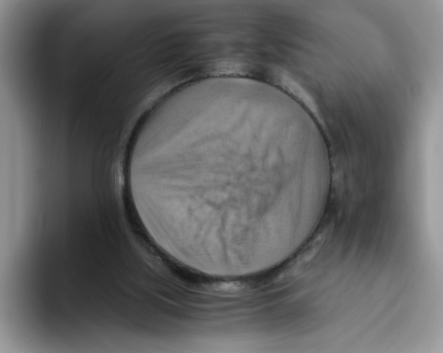 X0000093510059200711091729