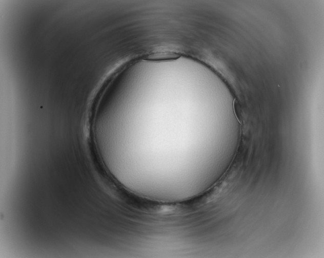 X0000093510060200711091729