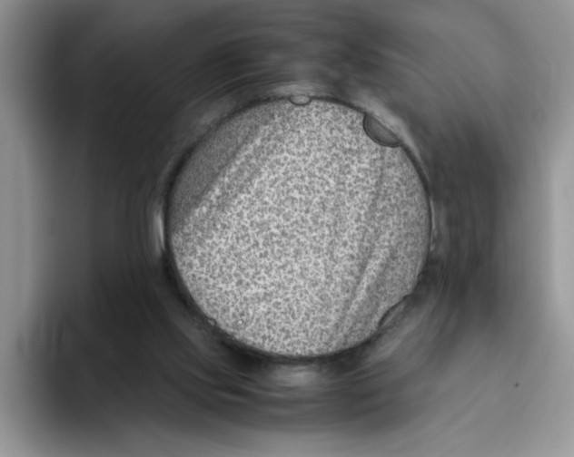 X0000093510061200711091729