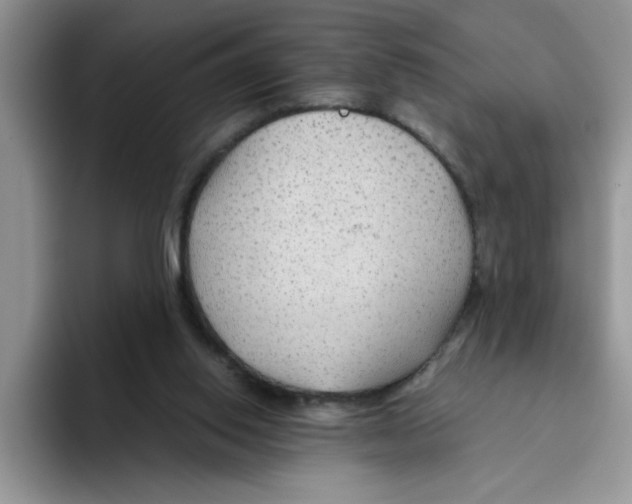 X0000093510062200711091729