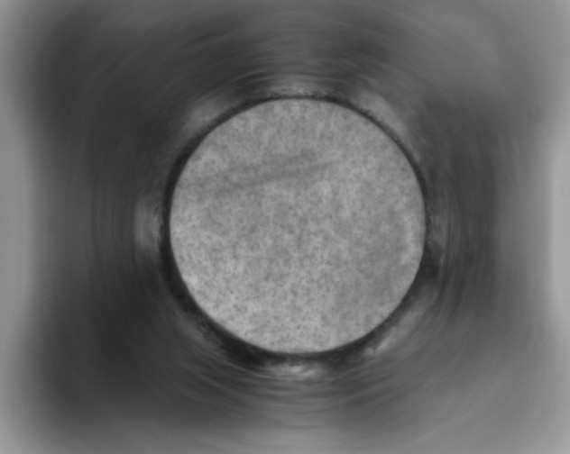 X0000093510063200711091729