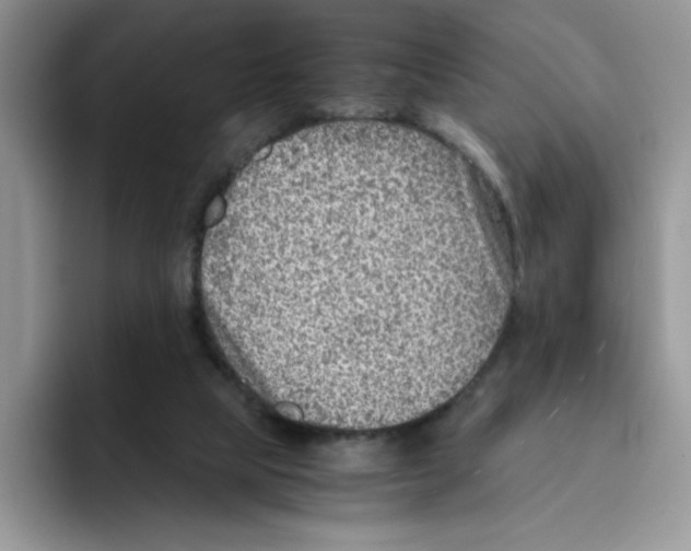 X0000093510065200711091729