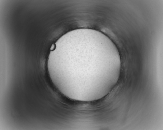 X0000093510066200711091729