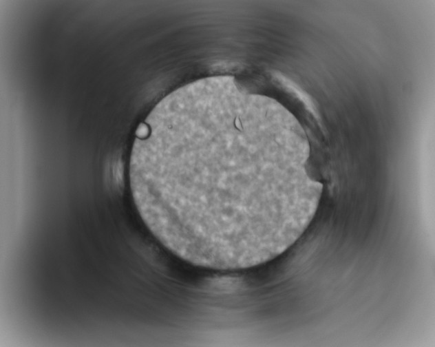 X0000093510067200711091729