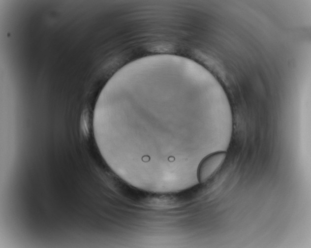 X0000093510069200711091729