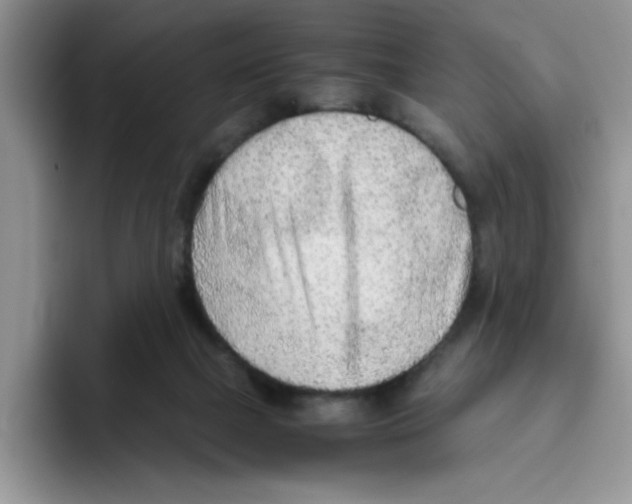 X0000093510073200711091729