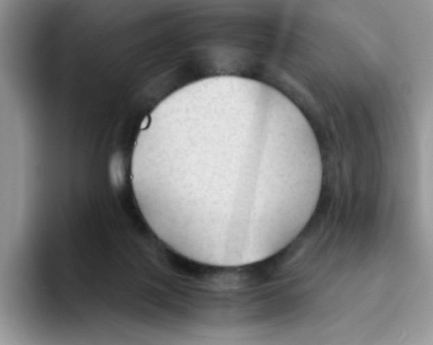 X0000093510075200711091729