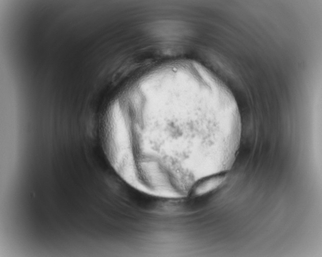 X0000093510078200711091729