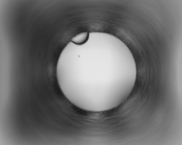 X0000093510079200711091729