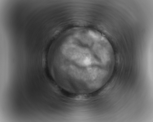 X0000093510080200711091729