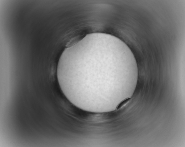 X0000093510082200711091729