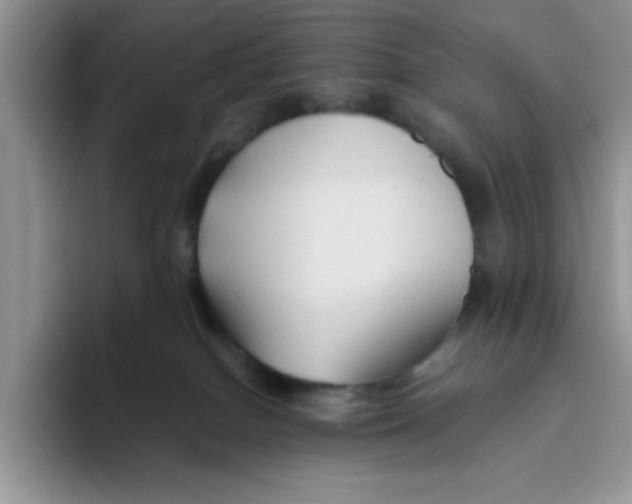 X0000093510086200711091729