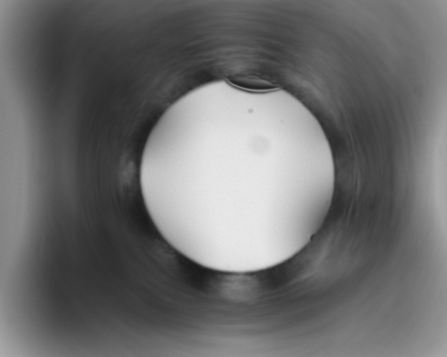 X0000093510087200711091729