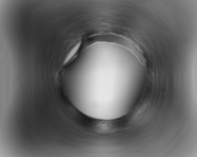 X0000093510088200711091729