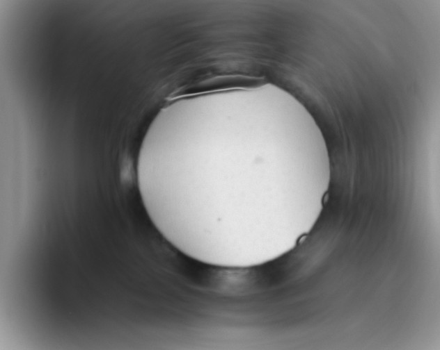 X0000093510089200711091729