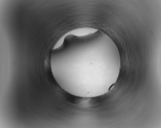 X0000093510090200711091729