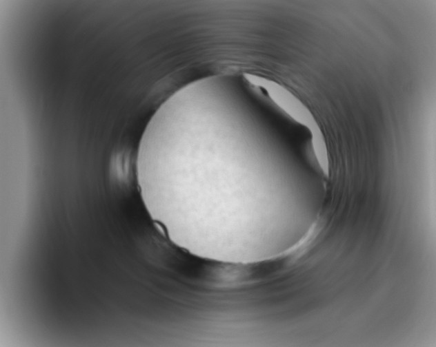 X0000093510094200711091729