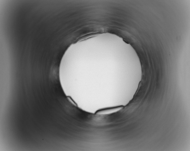 X0000093510096200711091729