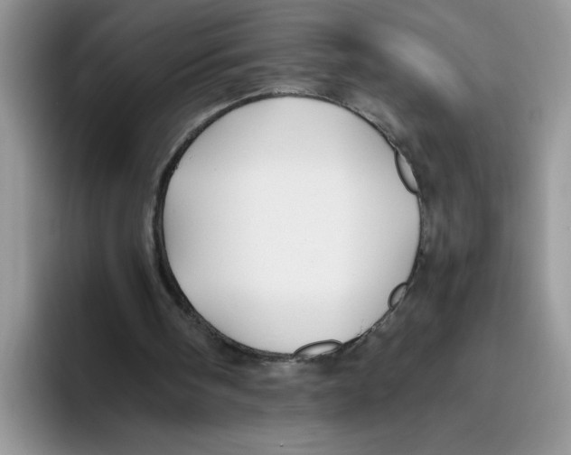 X0000093510098200711091728