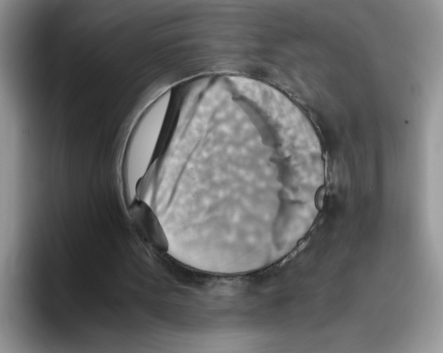 X0000093510099200711091728