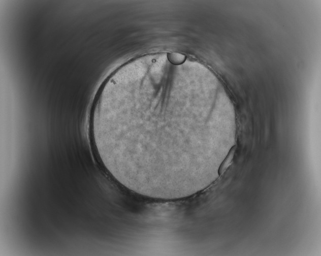 X0000093510100200711091728