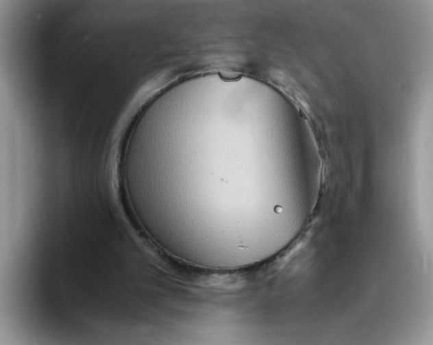 X0000093510101200711091728