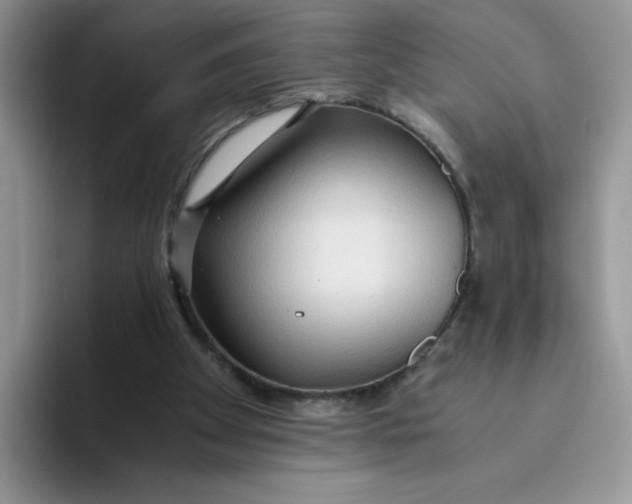 X0000093510105200711091728