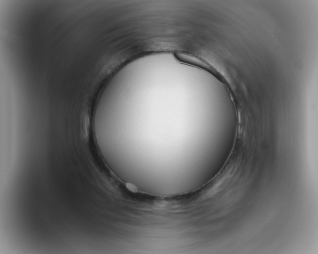 X0000093510109200711091728