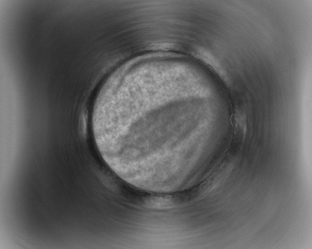 X0000093510110200711091728