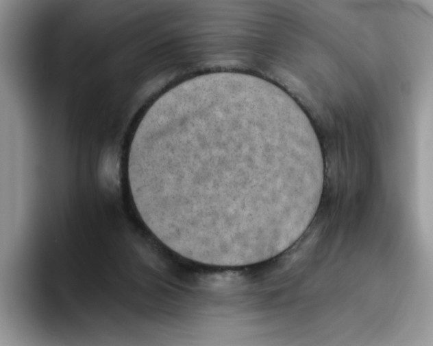 X0000093510112200711091728