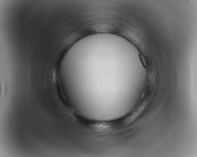 X0000093510117200711091728