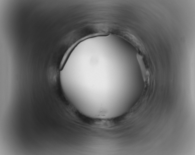 X0000093510125200711091728