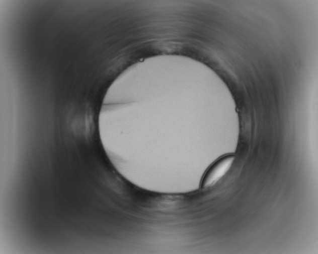 X0000093510128200711091728