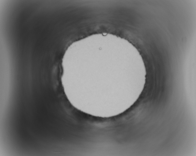 X0000093510144200711091728