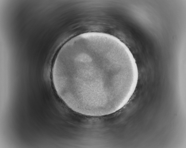 X0000093510146200711091727