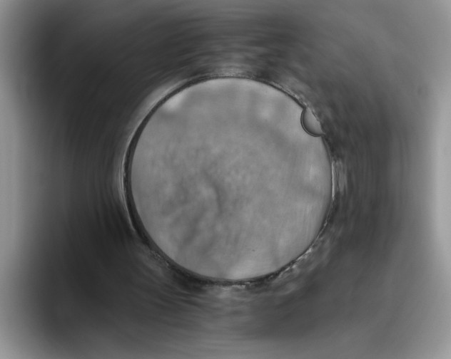 X0000093510147200711091727