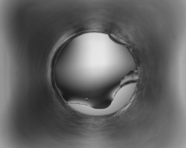 X0000093510150200711091727