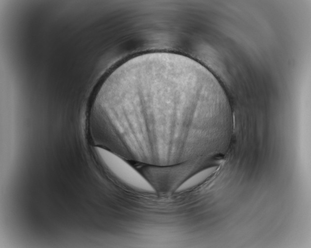 X0000093510156200711091727