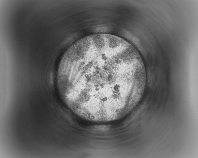 X0000093510161200711091728