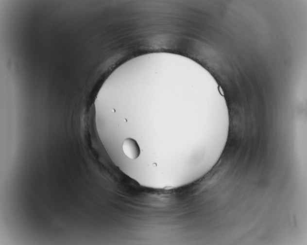 X0000093510164200711091728