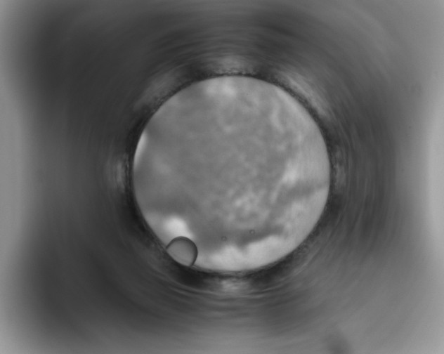 X0000093510165200711091728