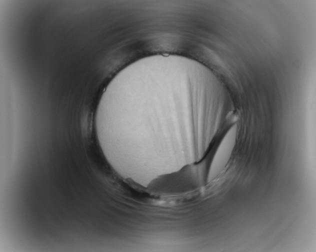 X0000093510168200711091728