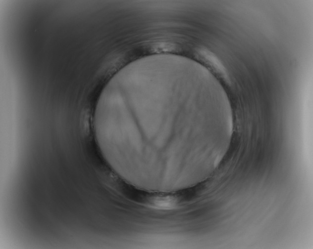 X0000093510169200711091728