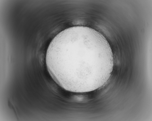 X0000093510171200711091728