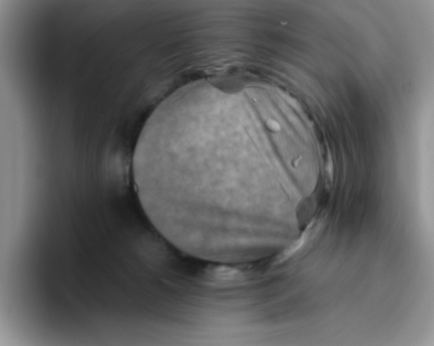 X0000093510180200711091728