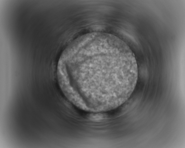 X0000093510181200711091728